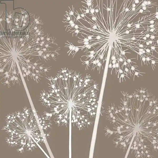 Hough, Sara: Starry Starry Night