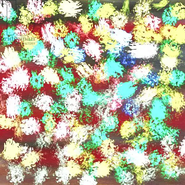 Caminker, Alex: Garden.2015