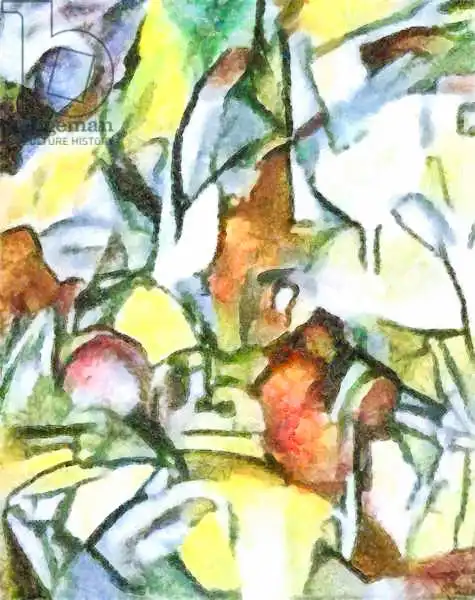 Caminker, Alex: Studio n. 1