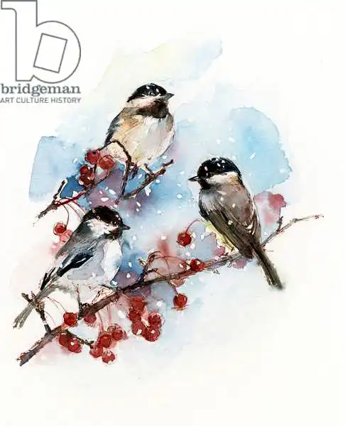Keeling, Joh: Chickadees with Berries