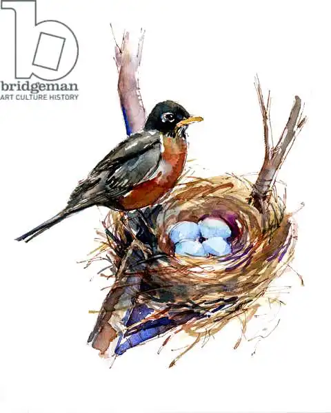 Keeling, Joh: Robin with nest, 2016