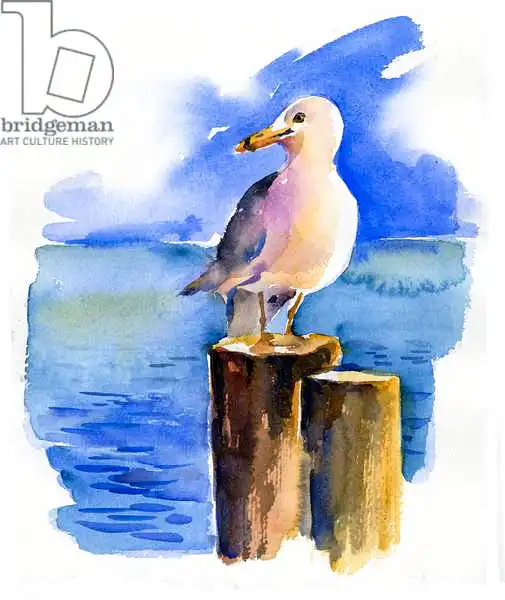Keeling, Joh: Seagull on dock