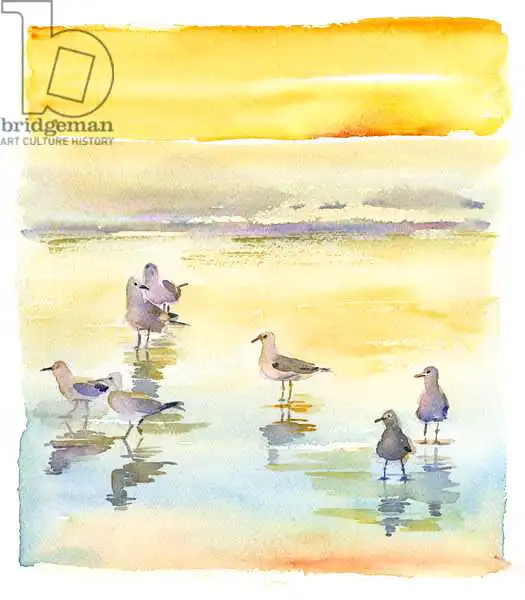 Keeling, Joh: Seagulls on beach