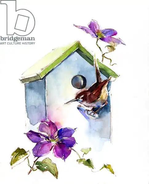 Keeling, Joh: Wren with birdhouse and clematis