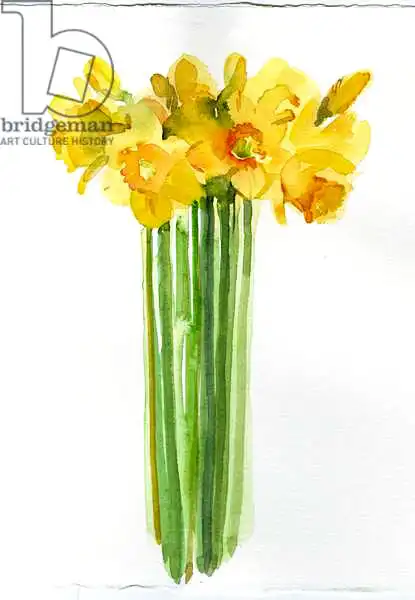 Keeling, Joh: Narcissus bunch, 2014