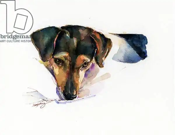 Keeling, Joh: Scout portrait
