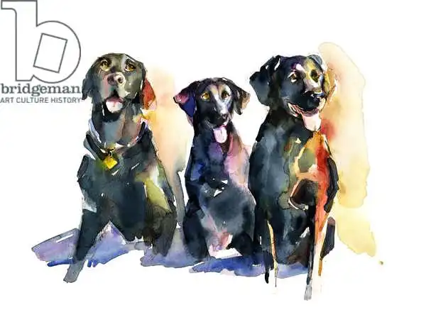 Keeling, Joh: Three Black Labs