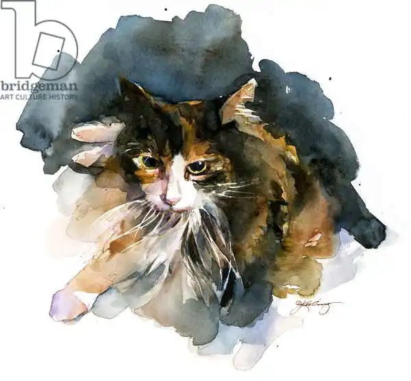 Keeling, Joh: Calico Cat