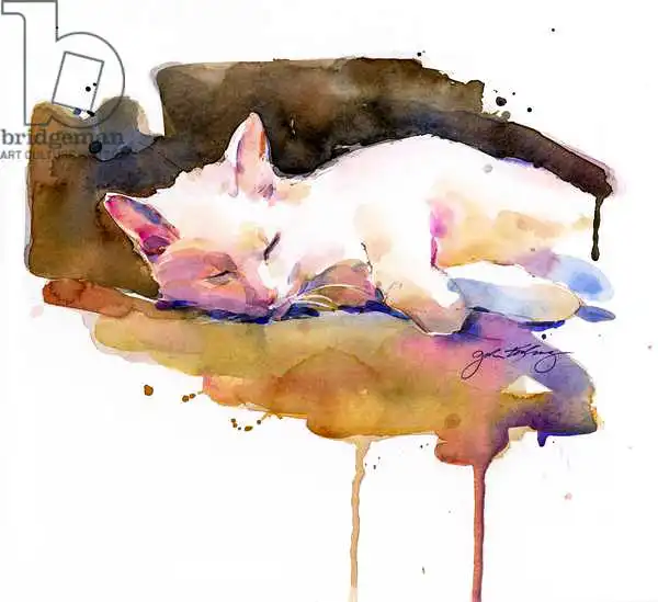 Keeling, Joh: Snowball sleeping