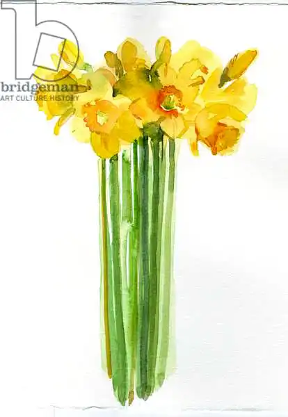 Keeling, Joh: Daffodil bunch