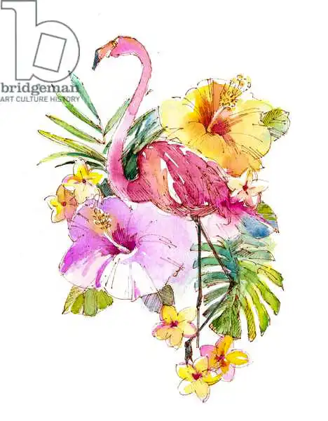 Keeling, Joh: Tropical collage