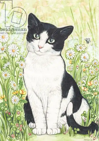Scott, Samuel: Black and White Cat with Daisies, 1995