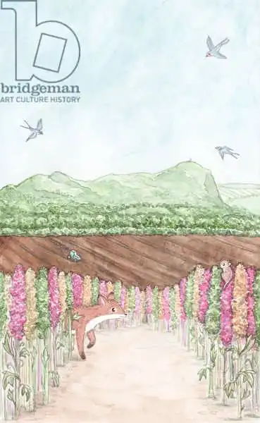 Scott, Samuel: English Countryside