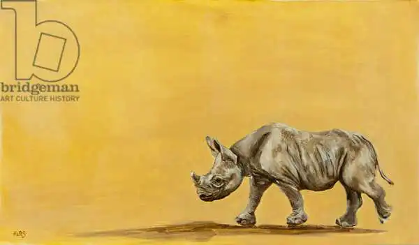 Sanders, Francesco: Rhino