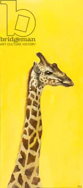 Sanders, Francesco: Giraffe