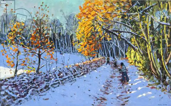 Macara, Andre: Snowball, Allestree Park, Derby, 2014