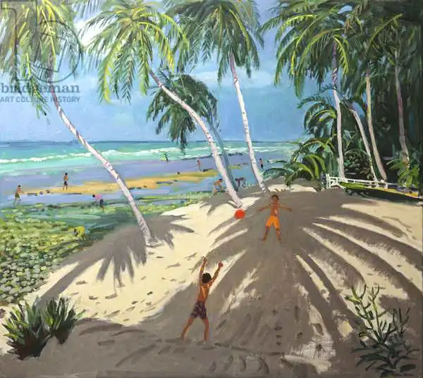 Macara, Andre: Palm trees,Clovelly beach,Barbados