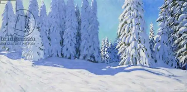 Macara, Andre: Fresh snow, Morzine, France