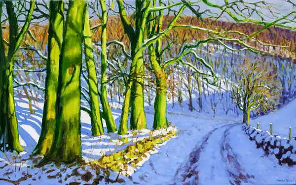 Macara, Andre: Arbres verts, hiver, voie du barrage, Derbyshire