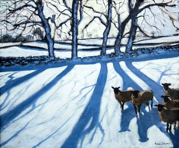 Macara, Andre: Mouton dans la neige, Derbyshire