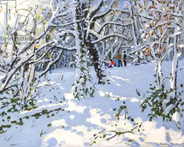 Macara, Andre: Slips de Noël dans les bois d