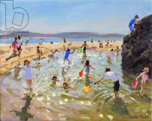 Macara, Andre: Rock Pool.Tenby, 2016
