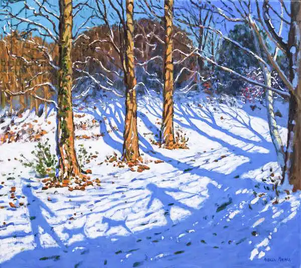 Macara, Andre: NOVERNE SNOW, ALLESTREE PARK, Derby