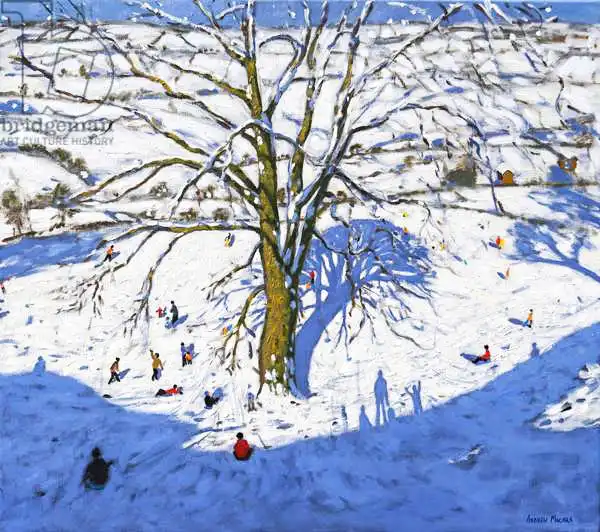 Macara, Andre: Hillside, Elton, près de Rowsley, Chatsworth, Derbyshire. (Retravaillé) 2017