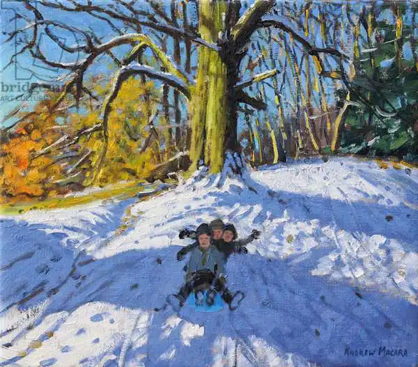 Macara, Andre: Trois sur un traîneau, Allier Park Derby .2014