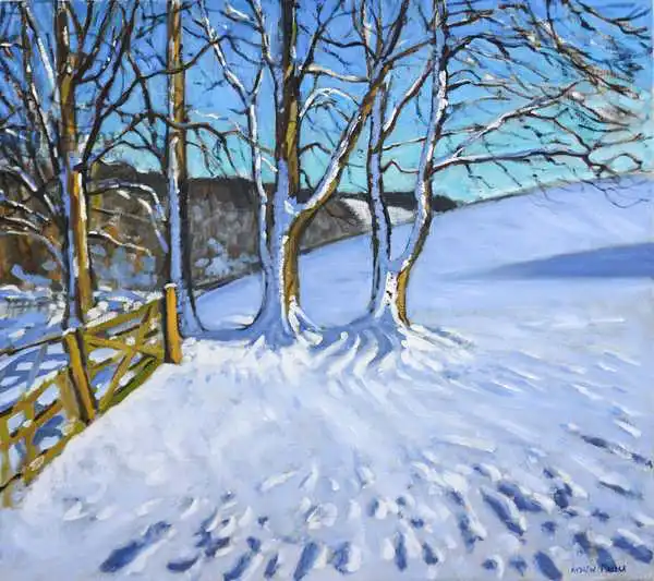 Macara, Andre: Porte et arbres, hiver, voie du barrage, Derbyshire