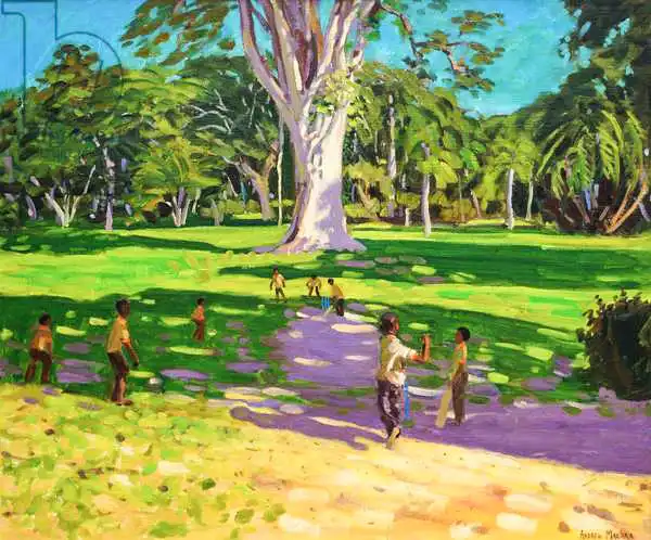 Macara, Andre: Match de cricket, jardins botaniques, Dominique, Grenadines.2011