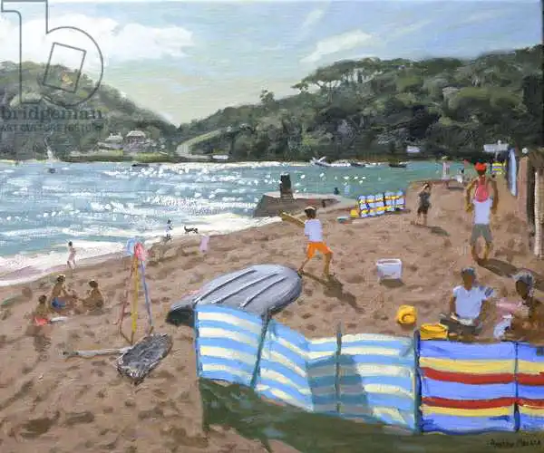 Macara, Andre: Cricket, Teignmouth