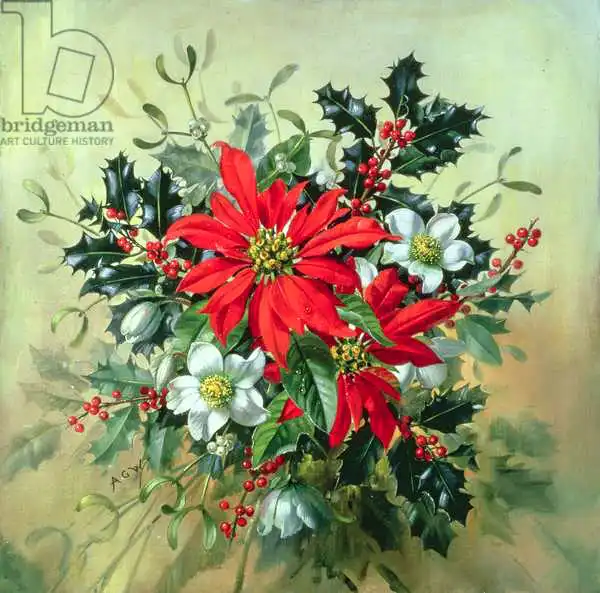 Williams, Albert: AB/130 Ein Weihnachtsarrangement mit Holly, Mistel und anderen Winterblumen