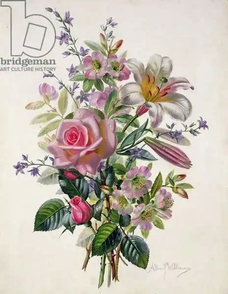Williams, Albert: AB / 211 un bouquet rose