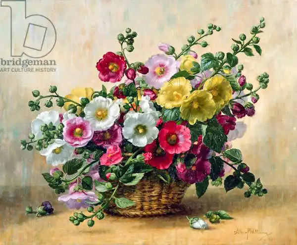 Williams, Albert: AB230 Hollyhocks dans un panier