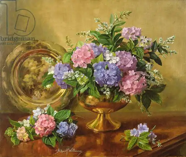 Williams, Albert: AB2112 Hortensias et lilas