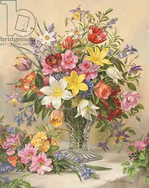 Williams, Albert: AB / 295 Gloire du printemps au milieu