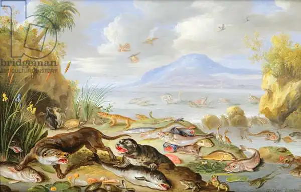 Kessel, Jan van, the elder: The Element of Water