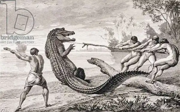American school (19th century): Catching an alligator with lasso, from 