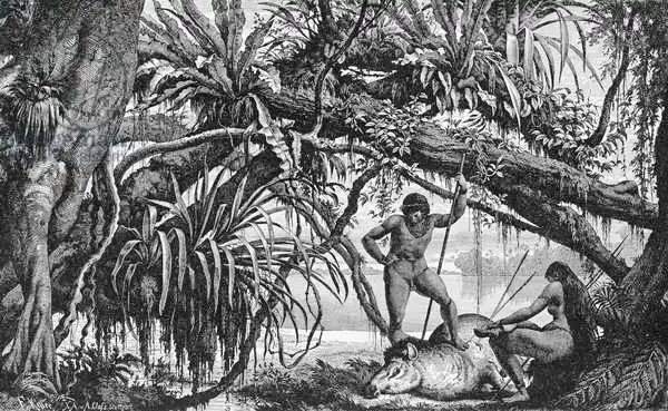 American school (19th century): Caripuna Indians with tapir, from 