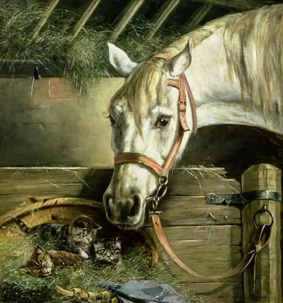 Muller, Moritz: Cheval et chaton