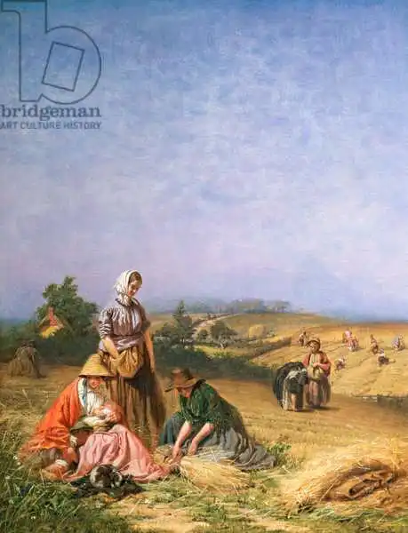 Hicks, Edward: Gleaning