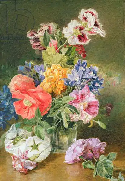 Holland, James: Roses, Poppy and Pelargonia