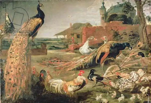 Vos, Paul de: A Crow in Peacock