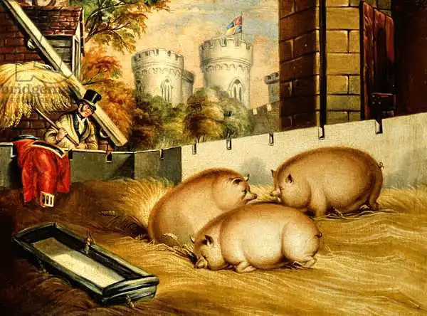 English school (19th century): Three Pigs with Castle in the Background