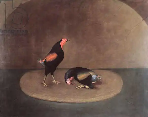 Sartorius, J. Francis: Cockfighters