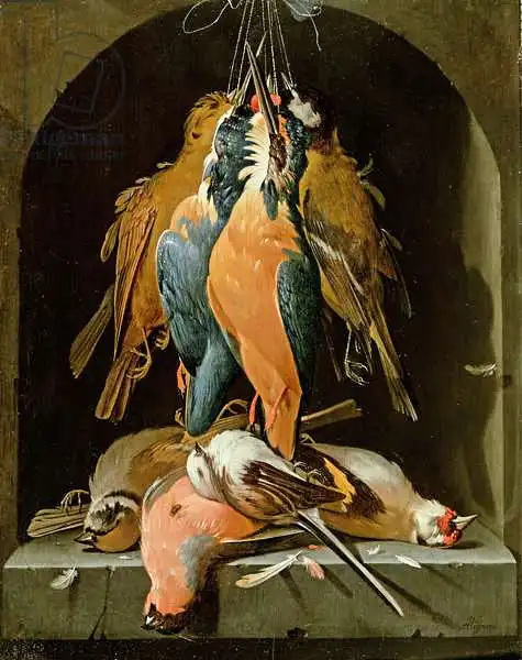 Mignon, Abraham: Still life of birds