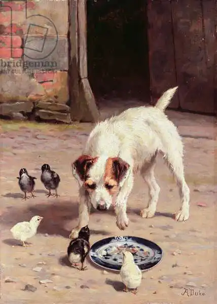 Duke, Alfred: Affrontement