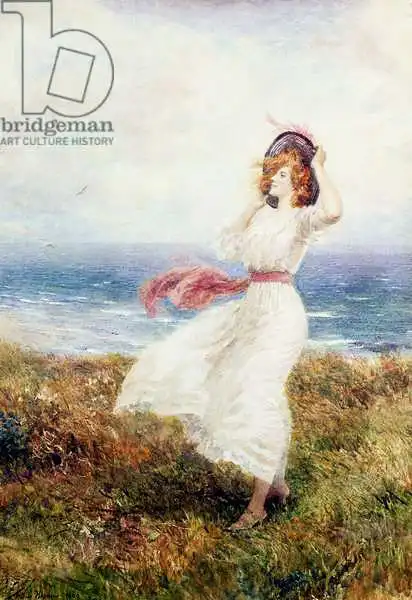 Hopkins, Arthur: A Blow on the Cliffs