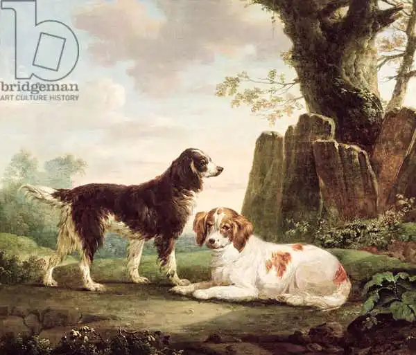 Towne, Charles: Two spaniels in a...
